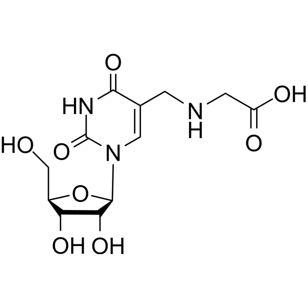 5-Carboxymethylaminomethyluridine 69181-26-6